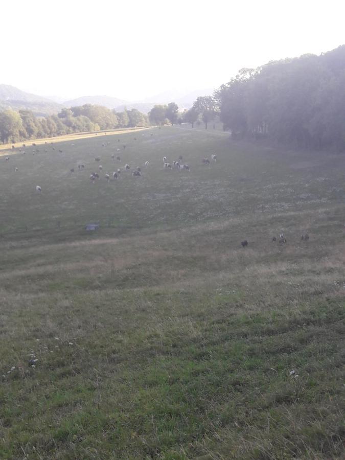 Affittacamere Au Doubs Repos *