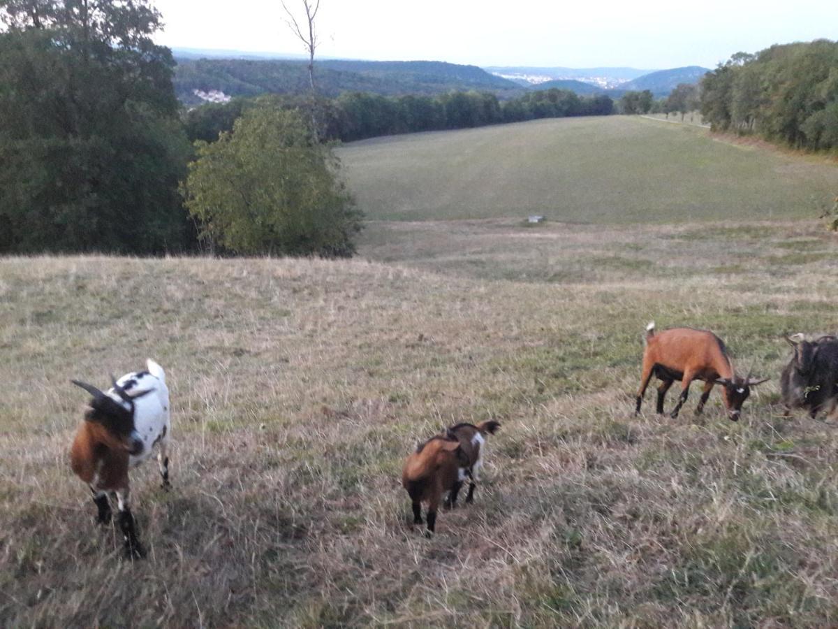 Au Doubs Repos * Vorges-les-Pins