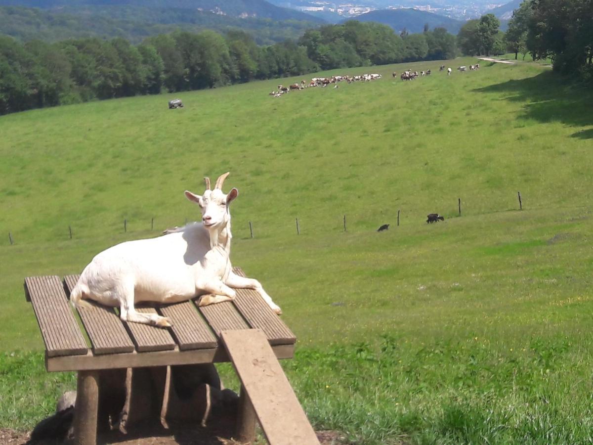 Au Doubs Repos Vorges-les-Pins